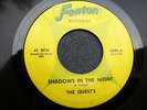 60s MICHIGAN GARAGE--QUESTS--SHADOWS IN THE NIGHT / I'M TEMPTED--FENTON 2086