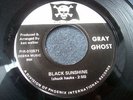 1971 TEXAS PSYCH--GRAY GHOST--BLACK SUNSHINE / PLASTIC SHADOW--PIRATE