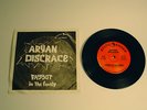 Aryan Disgrace -F-ggot In The Family RARE Mystic Records 7