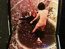 ORIG 1968   KIM FOWLEY - OUTRAGEOUS   LA ACID MADCAP PSYCH FUZZ ZAPPA FREAK OUT