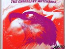 THE CHOCOLATE WATCHBAND   ONE STEP BEYOND   1969  WLP PROMO LP on TOWER ST 5153