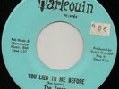 TREEZ-45-You Lied To Me Before-MONSTER & HOLY GRAIL 1966 Chicago Garage-Punk