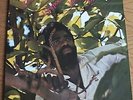 Scarce 1986 Junior Byles - Rasta No Pickpocket Viynl LP / Album. Most Wanted