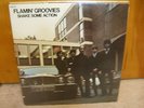 FLAMIN' GROOVIES 