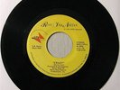 Ross Van Natter  CO POWER-POP/GLAM '78 powerpop cheap trick ?HEAR