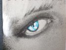 Evolution Metropolis 12