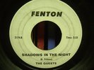 The Quests SHADOWS IN THE NIGHT Michigan Garage PUNK 45 Raw BFTG Fuzz WILDNESS
