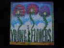 YOUNG FLOWERS Rare Danish d/LP w Blomsterpistolen & No. 2 NM