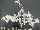 BLACKTHORN - Same ,  british folk