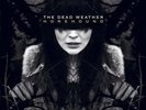 The Dead Weather, Horehound.   180 Gram 33rpm, Sealed Vinyl 2LP Set