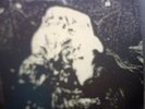 carcass symphonies of sickness earache lp