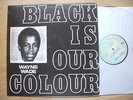 LP  WAYNE WADE - black is our colour / JA-VIVIAN JACKSON   GROßE FOTOS