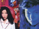 1Maxi+3LPs, Björk - 1993 -1997, Violentlöy Happy, Post, Telegram, Homogenic