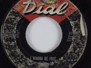 Northern Soul 45 JOE TEX I Wanna Be Free DIAL HEAR