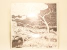 Worship - Last Vinyl Before Doomsday (Record, LP) 1/400