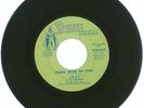 RARE 45 RPM Joey & The Lexingtons, Dunes Records 2029 Bobbie/Tears From My Eyes