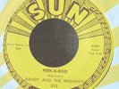 Garage 45-Randy & Radiants-Mountain's High / Peek A Boo-Sn 395-VG+++ Stunning