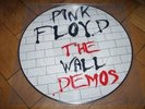 PINK FLOYD The Wall Demos PICTURE DISC LP