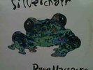 SILVERCHAIR - Pure Massacre 12