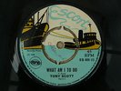 ESCORT ES 805 TONY SCOTT WHAT AM I TO DO / BRING BACK THAT SMILE REGGAE SKA
