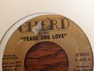 BROOKLYN PEOPLE/PEACE AND LOVE-WRECK/CHERI 503 MONSTER FUNK TUNE