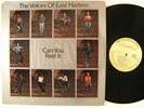 VOICES OF EAST HARLEM Can You Feel It LP on Just Sunshine