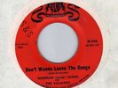 Tittyshaker NORMAN (ARAB) SANDS Don't Wanna Leave The Congo   Ohio   HEAR