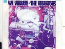 The Vibrators – We Vibrate - Rare German issue RAK 45
