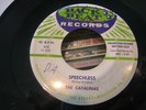 HEAR - Rare Orig Rocker - The Catalinas - Speechless- BACK BEAT