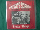 PRETTY THINGS-