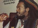 LP:KEITH HUDSON-steaming jungle   ?