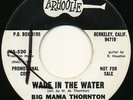 Northern Soul - BIG MAMA THORNTON on Arhoolie | wade in the water | DJ LISTEN