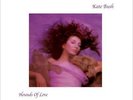AFZLP 087 | Kate Bush - Hounds Of Love LP