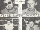 Blood  Stark Raving Norman  ORIGINAL 1983 U.K STREET PUNK OI 45