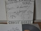 Neil Young Crazy Horse Zuma Japan LP 1975 Insert