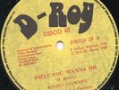 Roman Stewart - What You Wanna Do - Orig. Shaka Killer Near Mint Roots 12 Inch