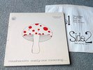 MUSHROOM Early One Morning+Inner+Poster(IRISH ORIGINAL)
