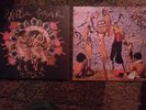 Panda Bear Carrots / Excepter Split 12