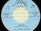 Rare ++ RockABilly Early Rock 45 The Rockin' Flames Cricket/Shim Sham Jan 14160