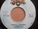 HERMANDAD LATINA FREDDY TARA SALSA GUAGUANCO PERU EX