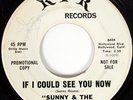 Rare Sunny & The Sunliners Northern Soul 45 If I Could See You Now 1970 Promo
