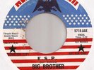 BIG BROTHER/ERNIE JOSEPH:Heavy Psych 45 Pretty Things