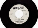 ORIG  Northern Soul 45 Patrinell Staten on SEPIA HEAR