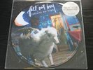 Fall Out Boy INFINITY ON HIGH Picture Disc Vinyl LP New take this to your grave
