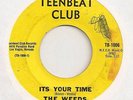 WEEDS 45 IT'S YOUR TIME B/W LITTLE GIRL G RARE GARAGE PUNK TEENBEAT CLUB 1006