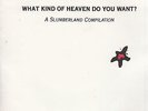 what kind of heaven do you want 7