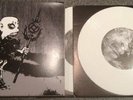 Integrity / Rot in Hell - Split 2 x 7