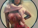 Italo Disco Sexy Nude Picture Disc Maxi LP Janice – Make Me High 12