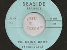 RONNIE LLOYD ? RARE TEEN: Beach Romance   I'm Going Home 45 NM Unplayed