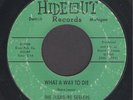 The Pleasure Seekers  What A Way To Die  LEGENDARY MICHIGAN GARAGE PUNK 45 HEAR